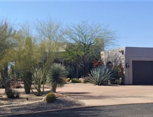 Scottsdale neighborhoods – Where you live is how you live
