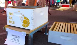 Arizona Honeybee Festival